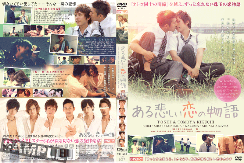 ある悲しい恋の物語 (DVD)