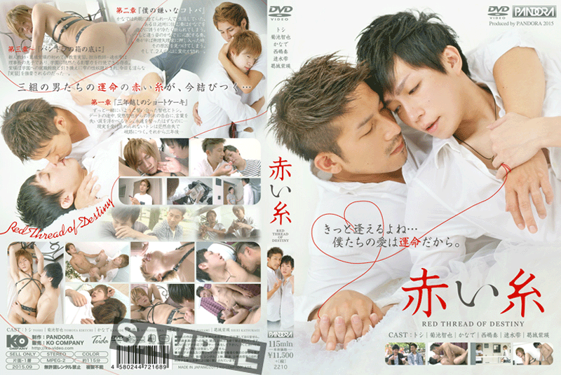 赤い糸(DVD) 赤い糸(DVD)