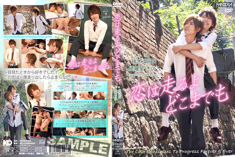 恋は走るよどこまでも(DVD) 恋は走るよどこまでも(DVD)