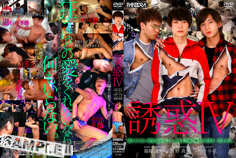 誘惑 IV(DVD) 誘惑 IV(DVD)