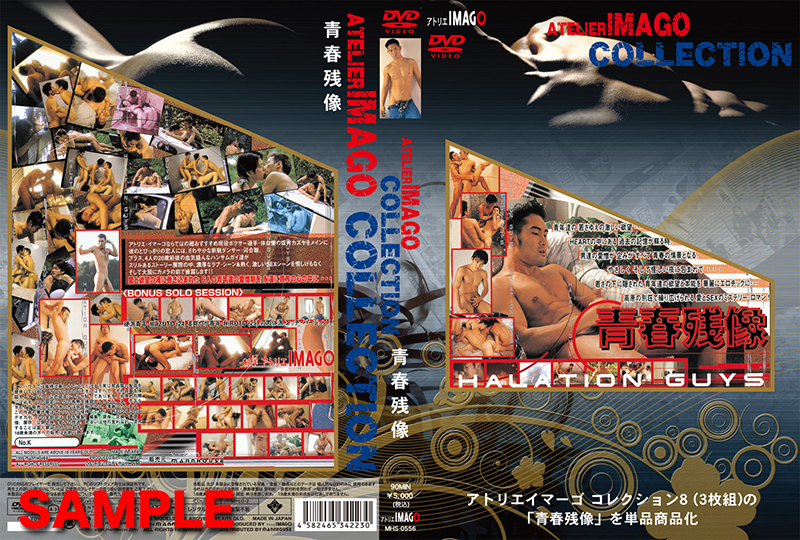 青春残像 -DVD-(再販版) 青春残像 -DVD-(再販版)