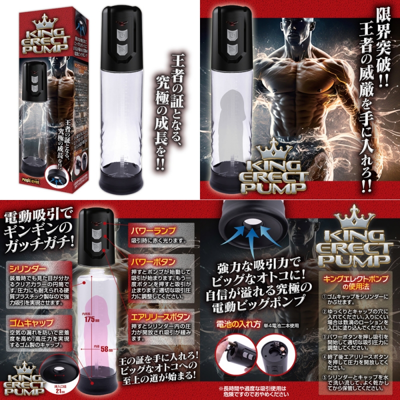 KING ERECT PUMP KING ERECT PUMP