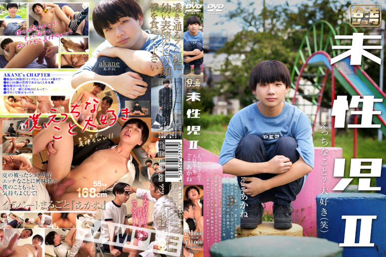 未性児 II ~えっちなこと?大好き(笑)~(DVD) 未性児 II ~えっちなこと?大好き(笑)~(DVD)