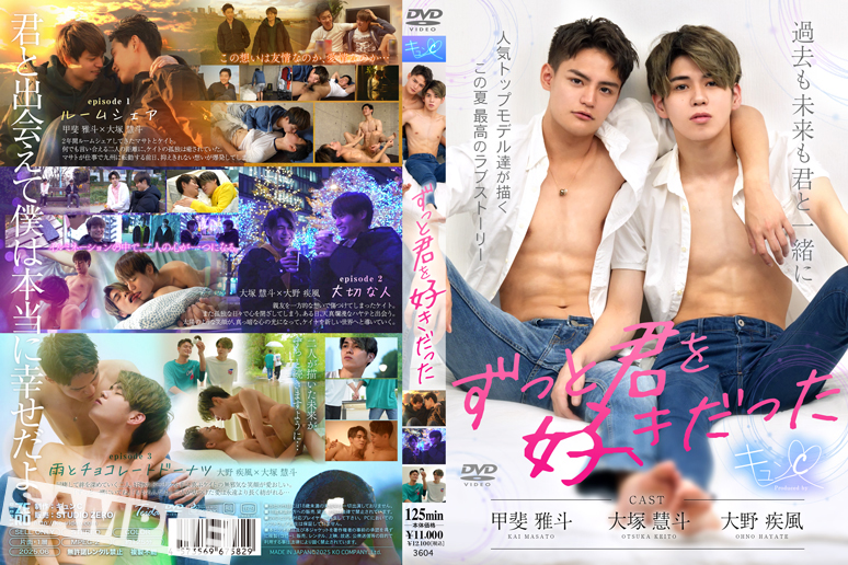 ずっと君を好きだった(DVD) ずっと君を好きだった(DVD)