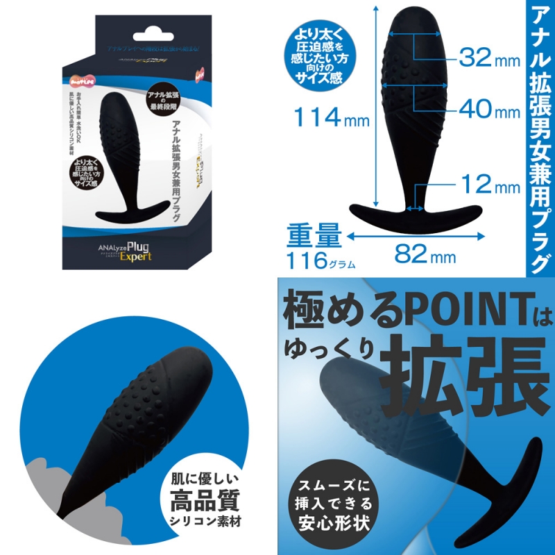 ANALyze Plug エキスパート ANALyze Plug エキスパート