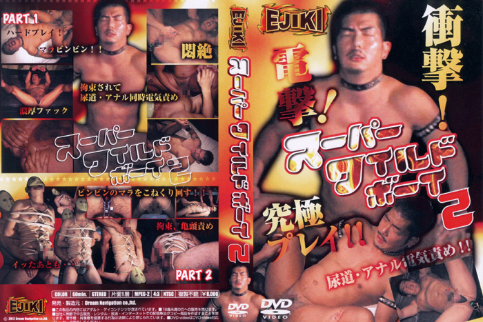 スーパーワイルドボーイ 2(DVD) スーパーワイルドボーイ 2(DVD)