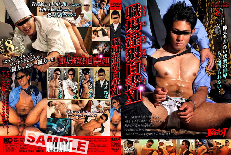 職場淫猥白書XII(DVD) 職場淫猥白書XII(DVD)
