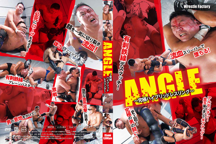ANGEL〜究極ハイブリッドレスリング〜(DVD) ANGEL〜究極ハイブリッドレスリング〜(DVD)