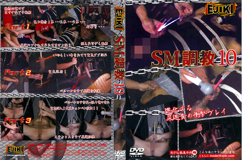 SM調教 10(DVD) SM調教 10(DVD)