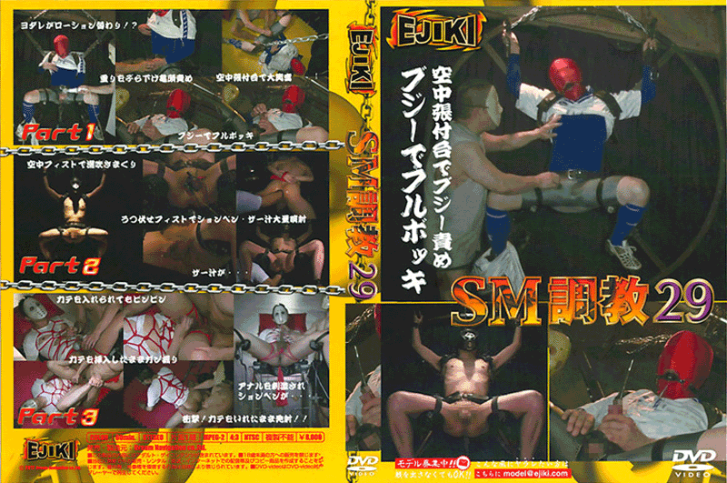 SM調教 29(DVD) SM調教 29(DVD)
